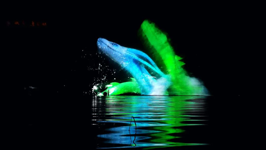 熱烈祝賀峨眉蓮花湖水秀項目《萬物生》榮獲2021年度優秀數字文旅項目獎(圖11)